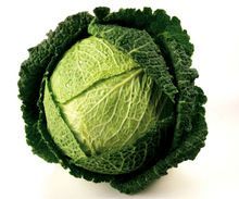 Fresh Cabbage