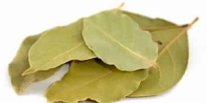 Bay Leaves