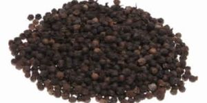 Black Pepper