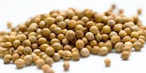Coriander Seeds