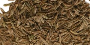 Cumin Seeds