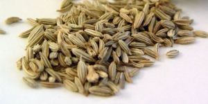 Fennel Seeds