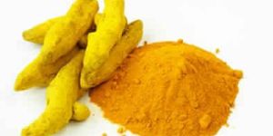 Turmeric Powder