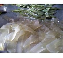 Aloevera Pulp