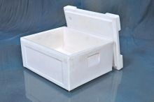 Plastic Ice Box