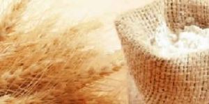 Wheat Flours
