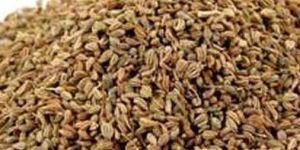 Ajwain Seed