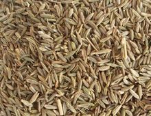 High Quality Cumin Seed