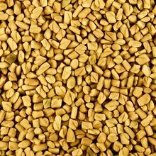 Superior Quality Fenugreek Seed