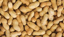Groundnuts Kernels