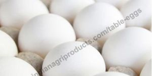 Chicken Eggs