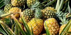Natural Pineapple