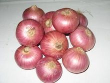 Fresh Red Onion