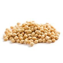 Soya Bean Seed