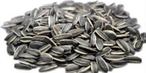 Sunflower Seed