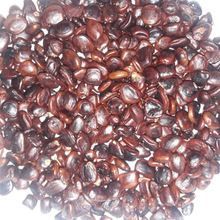 Tamarind Seeds