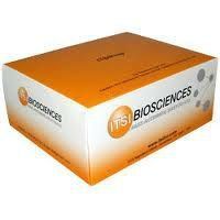 Corrugated Box for Ceramic Tiles