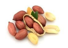 Peanut in Shell and Kernels