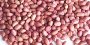 Organic Peanut