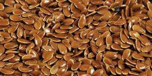 Flax Seeds