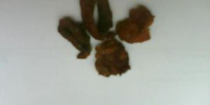 MORINGA GUM OR DRUMSTICK TREE GUM