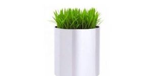 Stainless Steel Planter Pot