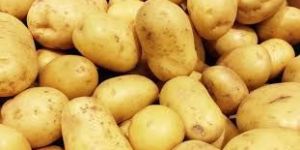 Fresh Potato
