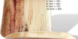 Areca Leaf Square Plate