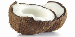 Coconut