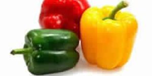 Capsicum