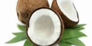 Coconut