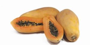 Papaya