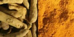 Turmeric