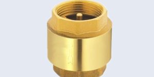 BRASS SPRING CHECK VALVE WITH BRASS DISC