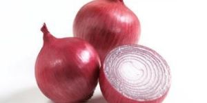Onion
