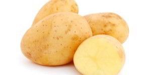 Potato