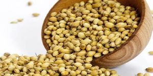 Coriander Seed