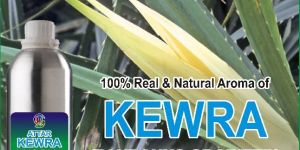 Kewra Attar