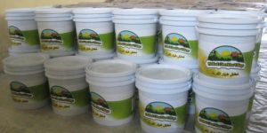 Baby Cucumber in Plastic Pails