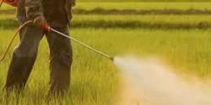Agricultural Insecticides