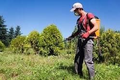 Agricultural Pesticides