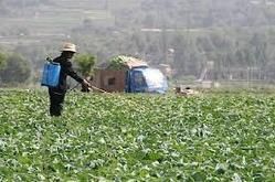 Biopesticides