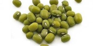 Mung Bean