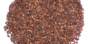 Sesame Seeds