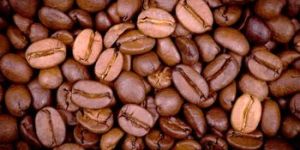 Coffee Bean