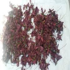Dried Hibiscus Flowers