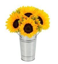 Flower Pots Andn Planter