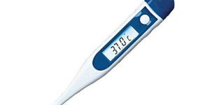 Ashton Digital Thermometer