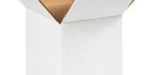 White Corrugated Box