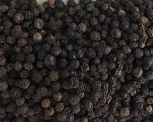 Black Pepper